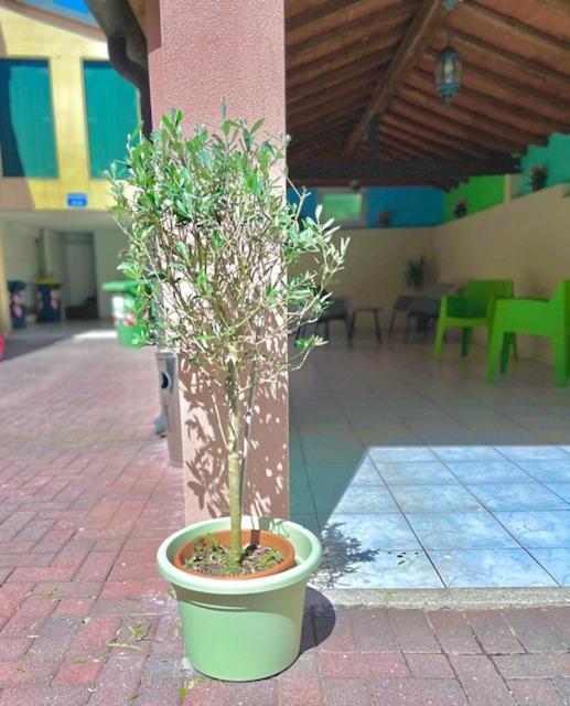 Residence Ca Venexian ميرا المظهر الخارجي الصورة